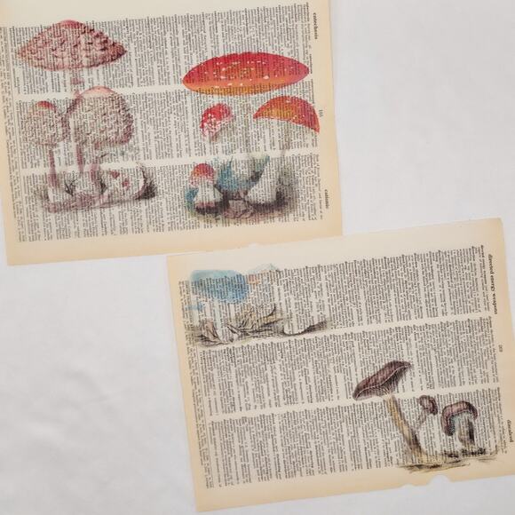 Mushroom Dictionary Prints 4, Colorful Mushroom Prints, Book Page Prints - Picture 2 of 6